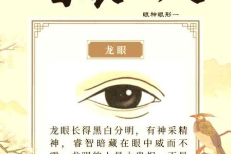 揭秘面相奥秘：如何开启你的天眼神通