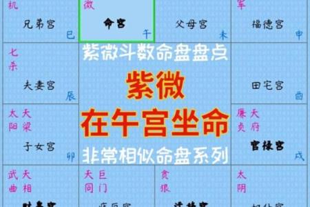 紫微命理排盘揭秘：如何通过命盘看透未来运势