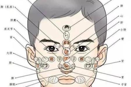 男士面相揭秘：一眼看穿命运走势，财运、事业、婚姻全解析