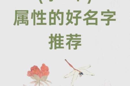 喜水木起名大全