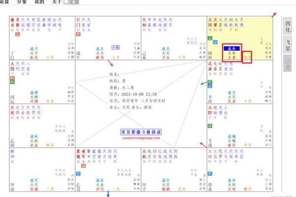 紫微斗数排盘揭秘：香港命理专家的精准预测