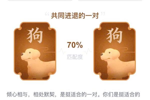 生肖相配狗年攻略