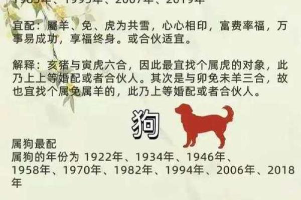 马蹄声声，看看你的生肖最佳伴侣是谁？