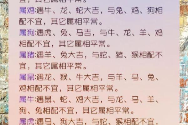生肖秘语：鼠羊结合，运势翻倍