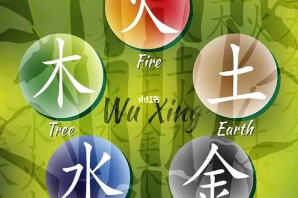 如何运用双透天干预测人生走势