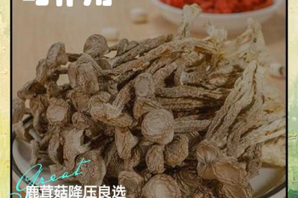 如何为参茸公司起个既有寓意又易记的名字