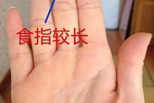 天干地支中的坐支解析，如何影响你的命运
