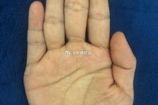 揭秘亿万富翁手相：这些特征让你成为下一个财富赢家