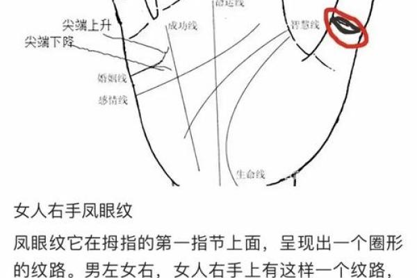 揭秘亿万富翁手相：这些特征让你成为下一个财富赢家