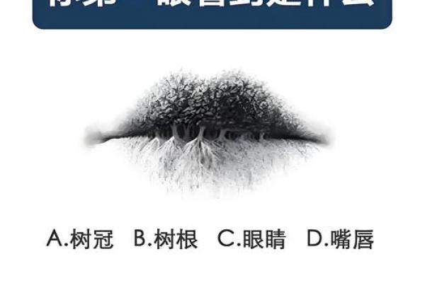 一眼识人心：揭秘面相中的秘密