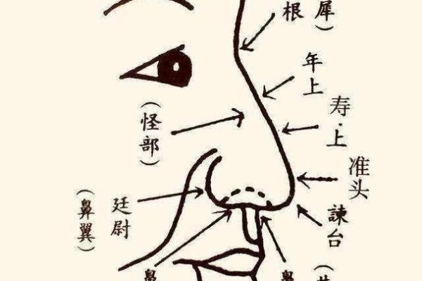 一眼识人心：揭秘面相中的秘密