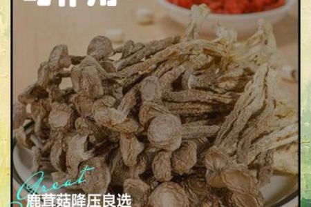 如何为参茸公司起个既有寓意又易记的名字