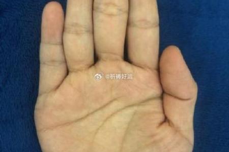 揭秘亿万富翁手相：这些特征让你成为下一个财富赢家