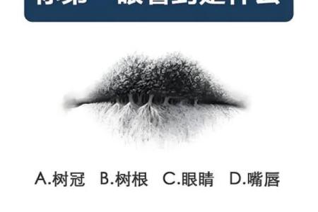 一眼识人心：揭秘面相中的秘密