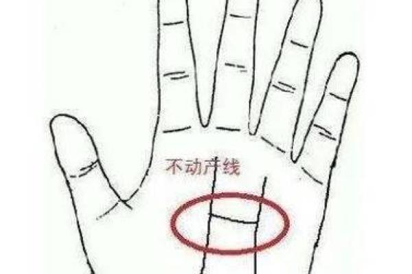 手相揭秘：链形纹预示的财运亨通，你拥有了吗？