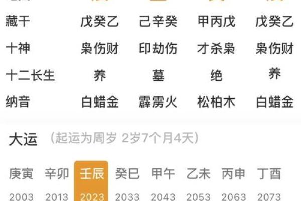 腊月天干地支解析：这月出生的人注定不同凡响