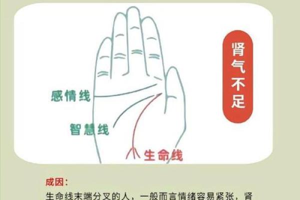 手相揭秘：全面解析掌纹密码，揭秘你的运势与命运