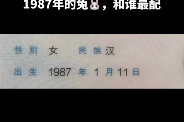 属马女与属兔男：天生一对的完美姻缘？