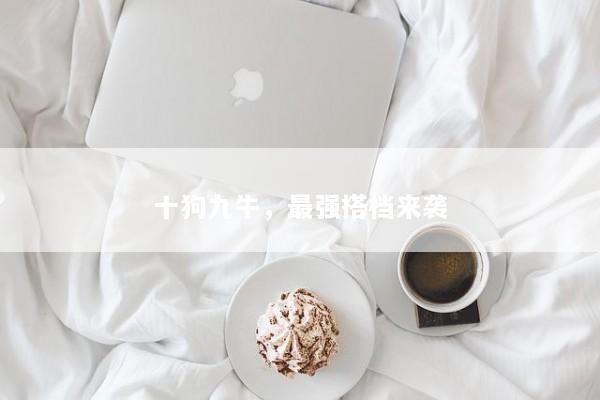 十狗九牛，最强搭档来袭