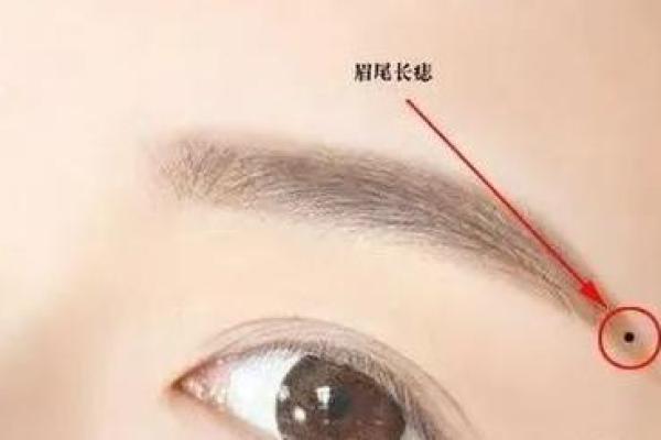 眉痕印记，命运之谜：揭秘疤痕眉的神秘面相学