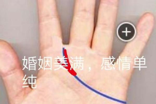 手相揭秘：婚姻幸福密码，一眼看出你的爱情运势