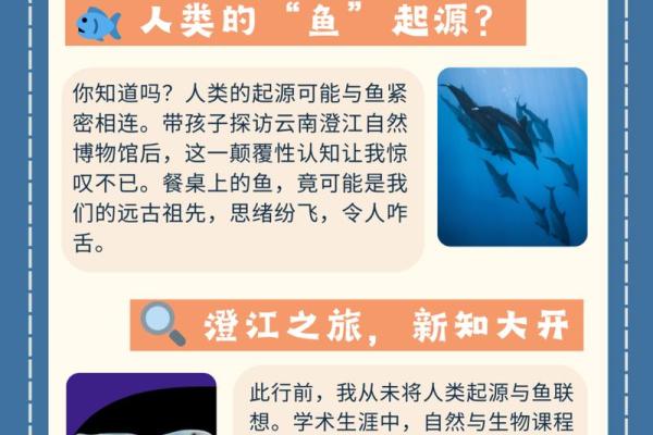鱼五行属什么？揭秘你从未听过的深层含义