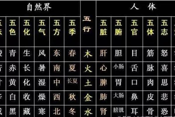 五行中的肉类：不同肉食对应的五行解读