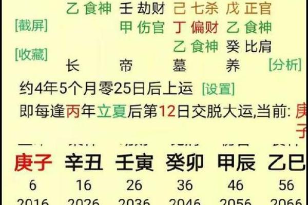 免费生辰八字排盘，精准解读命运轨迹