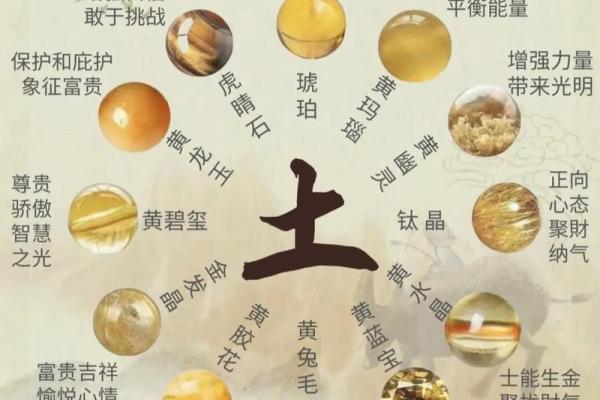 许五行属什么？专家解答