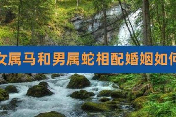 揭秘：属蛇男与属马女相配的惊人理由