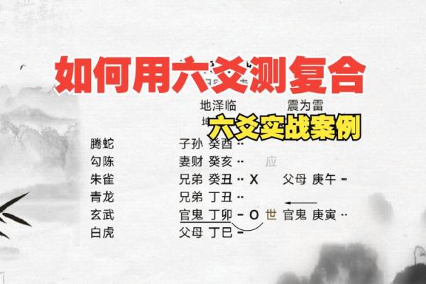 六爻排盘花是阴，如何解读背后的玄机