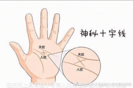 揭秘手相奥秘：如何一眼看出你身边隐藏的金库