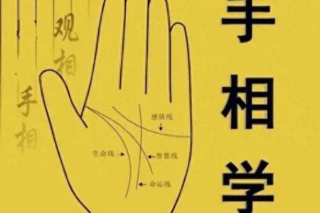 手相揭秘：全面解析掌纹密码，揭秘你的运势与命运