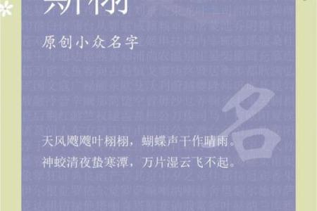 斯字公司名，塑造独特品牌形象的关键