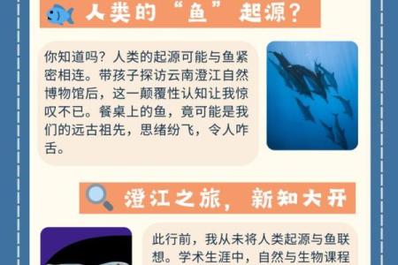 鱼五行属什么？揭秘你从未听过的深层含义