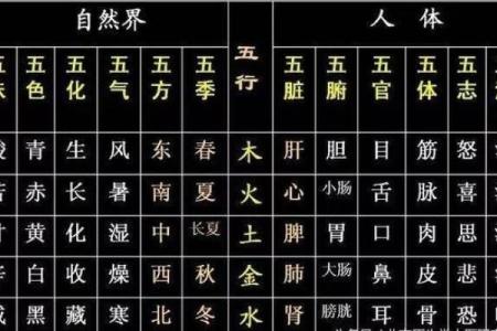 五行中的肉类：不同肉食对应的五行解读