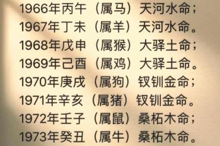 许五行属什么？专家解答