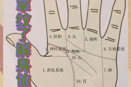 揭秘男性手相奥秘：掌中秘密，让你一眼看穿命运走势