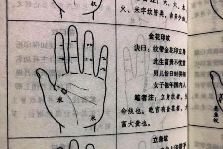 一掌在手，健康我有：揭秘手相秘籍，让你轻松读懂身体密码