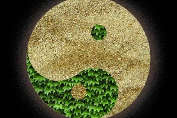 八字中的天罗地网，如何破解命运困局？
