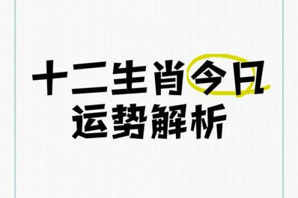 面相识人：揭秘十二生肖运势，破解事业巅峰密码