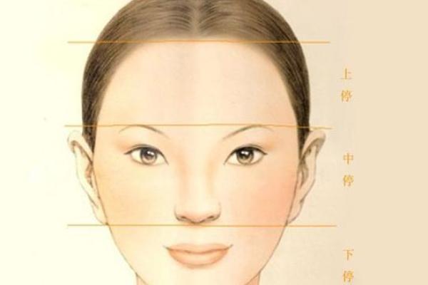 桃花面相鼻梁，财运亨通的神秘密码