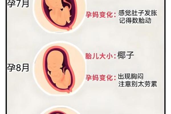 命理师揭秘：怀孕时的命运特征如何影响孩子未来
