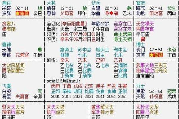 学会紫微斗数手工排盘表，让你精准预测未来