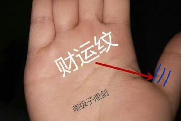 手相揭秘：掌握这四种成功者的手迹，助你开启财富人生