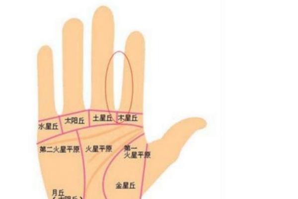 揭秘手相中的手术线：掌握命运转折点，你的人生将从此不同