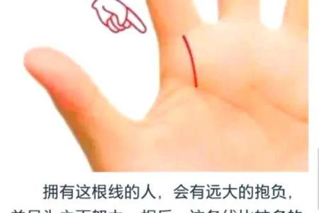 手相揭秘：你的命运线藏着哪些秘密？揭秘未来运势