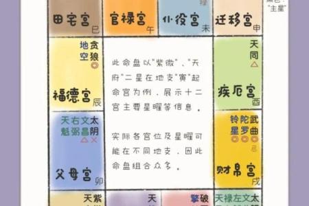 学会紫微斗数手工排盘表，让你精准预测未来