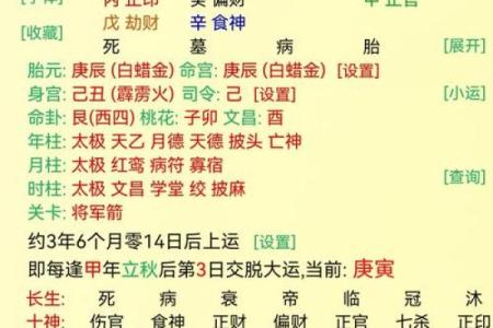 如何根据八字预测一生运势，成功必备指南