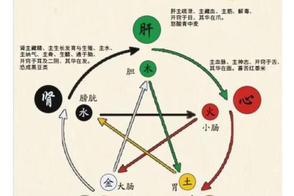 了解得五行属什么，找到人生的关键